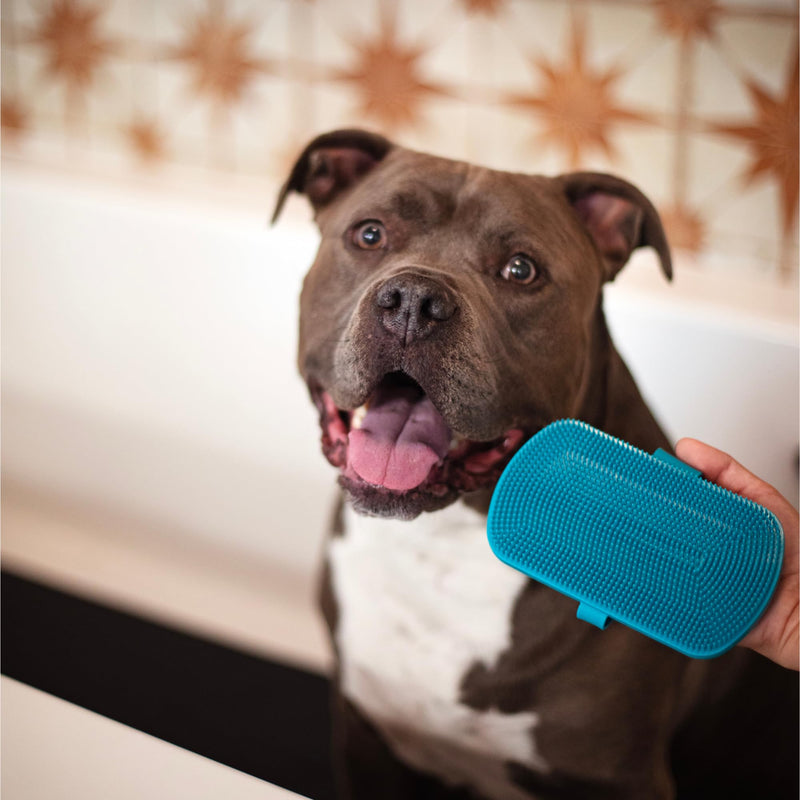 Messy Mutts Reversible Silicone Dual Sided Pet Grooming Brush | Gentle Massage, Brushing, Bathing and Dog Hair Removal Tool | One Size Fits All | Blue - PawsPlanet Australia