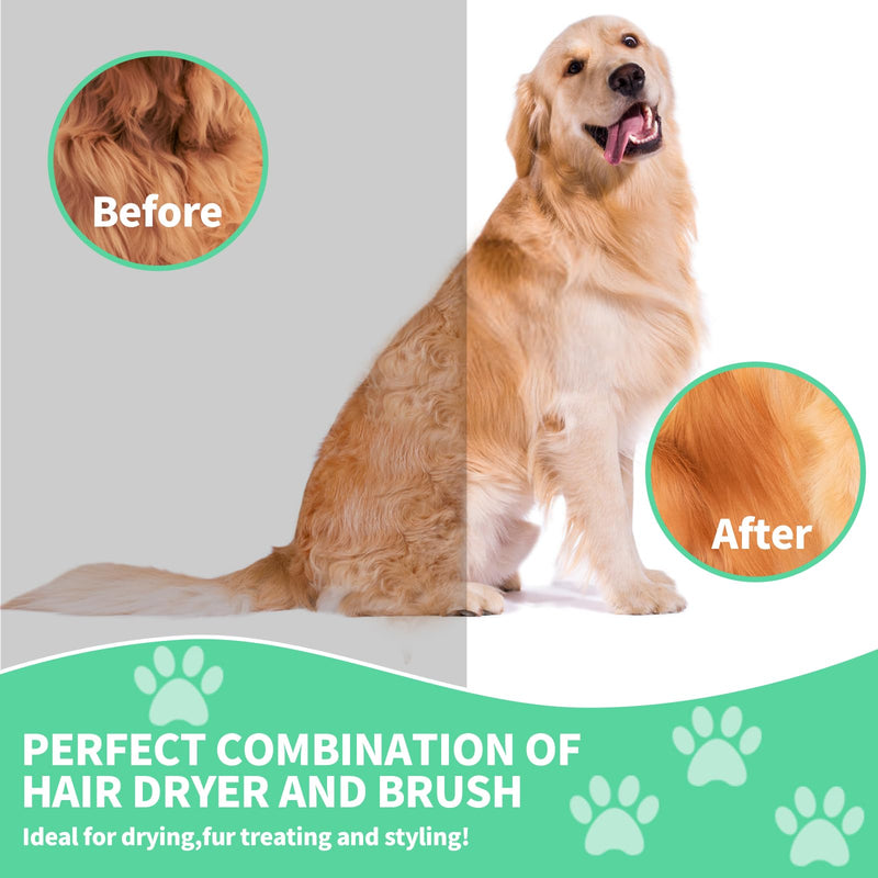 Pet hair dryer | Portable silent 2-in-1 pet beauty hair dryer with replaceable self-cleaning brush | Adjustable temperature | Suitable for small and medium-sized cats and dogs - PawsPlanet Australia