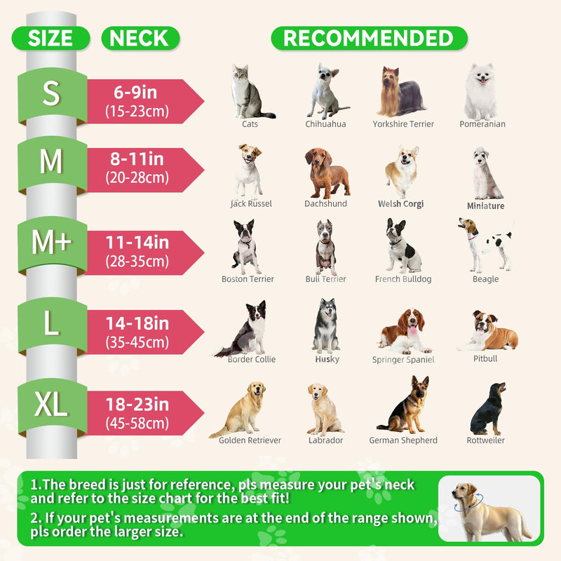 Upgraded Inflatable Dog Cone Collar with Transparent Anti-Licking Shield, Adjustable Elizabethan Collar for Medium Large Dogs, 2-in-1 Design with Detachable Shield and Soft Padding (M, Watermelon) M (Neck: 8-11")