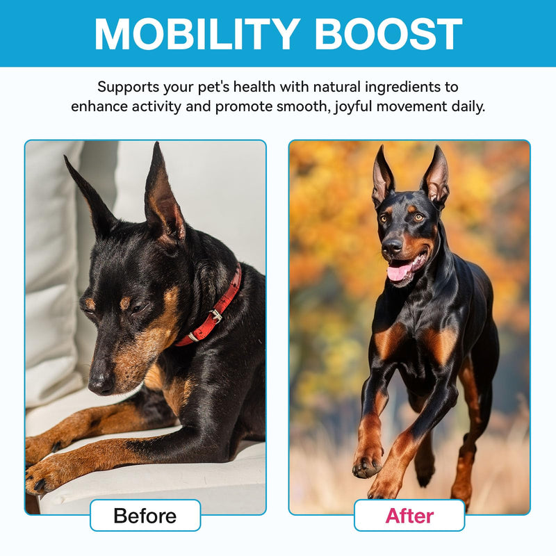 Dog Hip and Joint Supplement, Glucosamine for Dogs, Chondroitin Drops for Dogs, Pain Relief for Dogs, Dog Supplement for Joint Health, Mobility Pain Relief, Bacon Flavor-2 Oz/60ml - PawsPlanet Australia