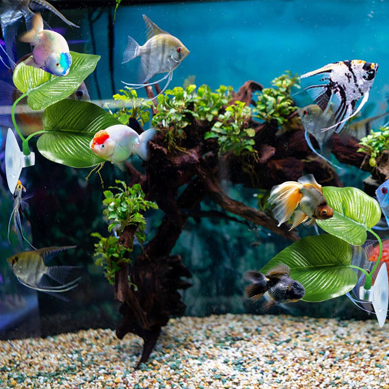 6PCS Betta Fish Aquarium Decoration, Betta Fish Leaf Pad + Fish Feeding Ring+ Betta Fish Acrylic Tube Tunnel,Hideout Ornament for Fish Tank Aquarium Decor 6 pcs - PawsPlanet Australia