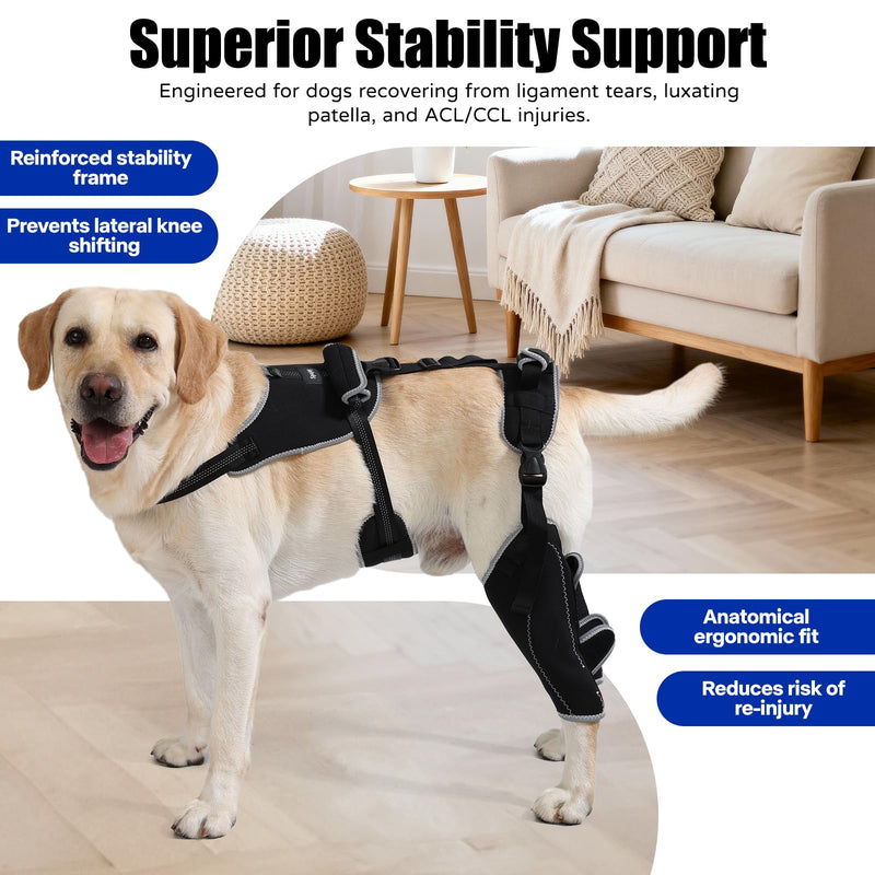 Dog Knee Brace with Adjustable Support Acl Hind Leg for Support with Cruciate Ligament Injury, luxating Patella,Arthritis,Dog Acl Knee Brace with Dog Chest Harness M Black01