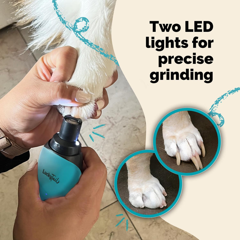 LuckyTail Pet Nail Grinder for Dogs and Cats - Super Quiet and Low Vibration Electric Dog Nail Grinder with 2 LED Lights - USB Rechargeable and Cordless - 2 Speeds - Small to Large Pets - Teal - PawsPlanet Australia