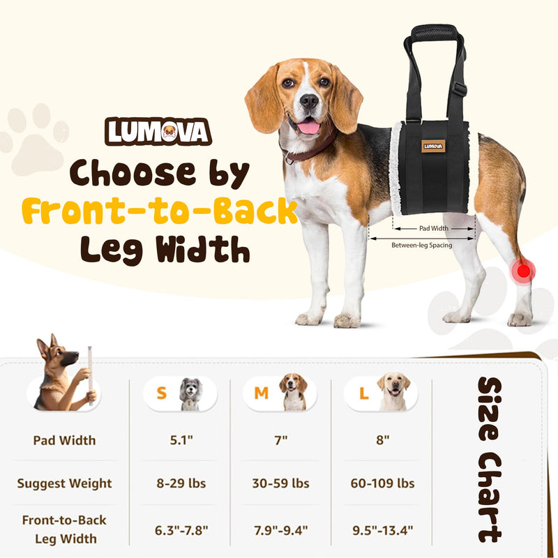 Dog Lift Harness – Adjustable Sling for Large Dogs Hind Leg Support – Comfortable Dog Support Harness for Back Legs – Recovery Sling for Dogs Elderly or Injured (Large (L)) Large (L) - PawsPlanet Australia