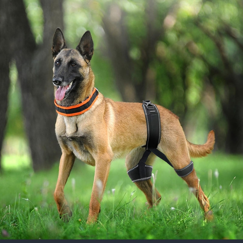 CHAMIN Dog Hip Orthotics Brace, Dog Hip Dysplasia Brace Harness, Support for Hip Dysplasia, Luxating Patella, Prevent Hip Joint Diseases and Assisted orthopedics, et(Extra Large) Extra Large - PawsPlanet Australia