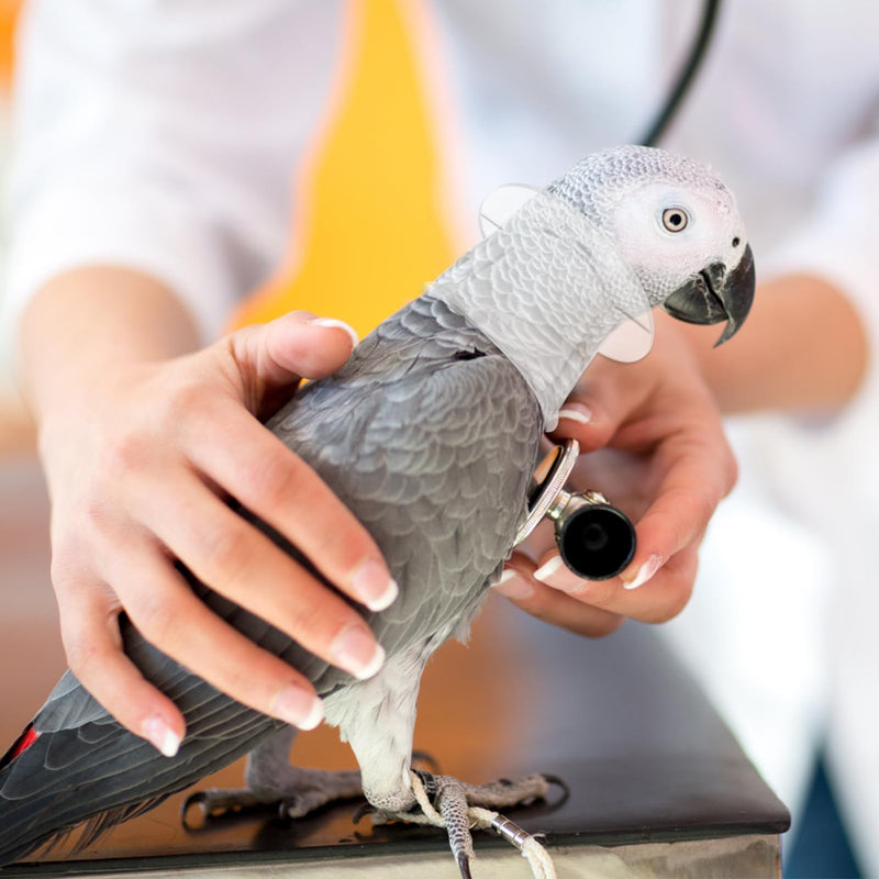 balacoo Bird Supplies Pet Parrot - Collar- - Grab Lick Wound Healing Safety Practical Neck Cover- Recovery Collars for Macaw African Budgies Parakeet African Necklace Picture 1 M - PawsPlanet Australia