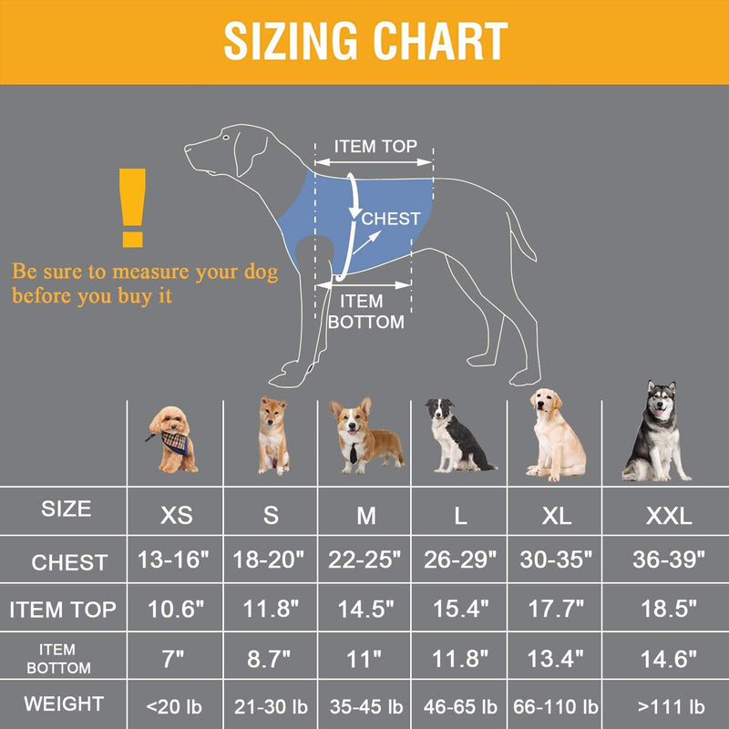 Coodeo Dog Lift Harness, Pet Support & Rehabilitation Sling Lift Adjustable Vest Breathable Straps for Old, Disabled, Joint Injuries, Arthritis, Loss of Stability Dogs Walk Blue Large - PawsPlanet Australia