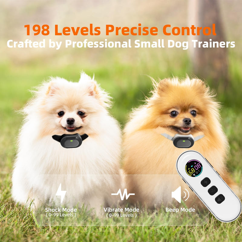 Ultra-Small Dog Shock Collar for 2 Dogs,Ultra-Light & Thin Dog Training Collar with 1300ft Remote, Tailored for Small Dogs 5-15lbs & Medium Dog, 198-Level Control,Waterproof, Rechargeable(WhiteBlack) WhiteBlack - PawsPlanet Australia