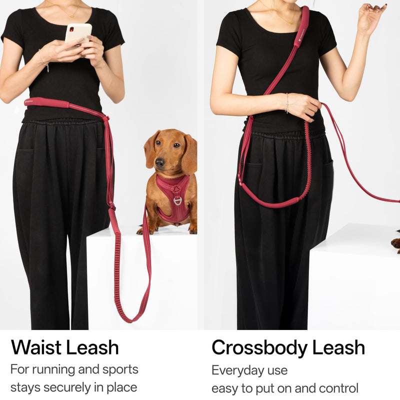 Hands Free Dog Leash Adjustable Versatile Crossbody Waist Dog Leash Reflective Comfortable Padded Handles Shock Absorbing Walking Lead for Small Medium Large Dogs (Light-Burgundy, M) Light-Burgundy