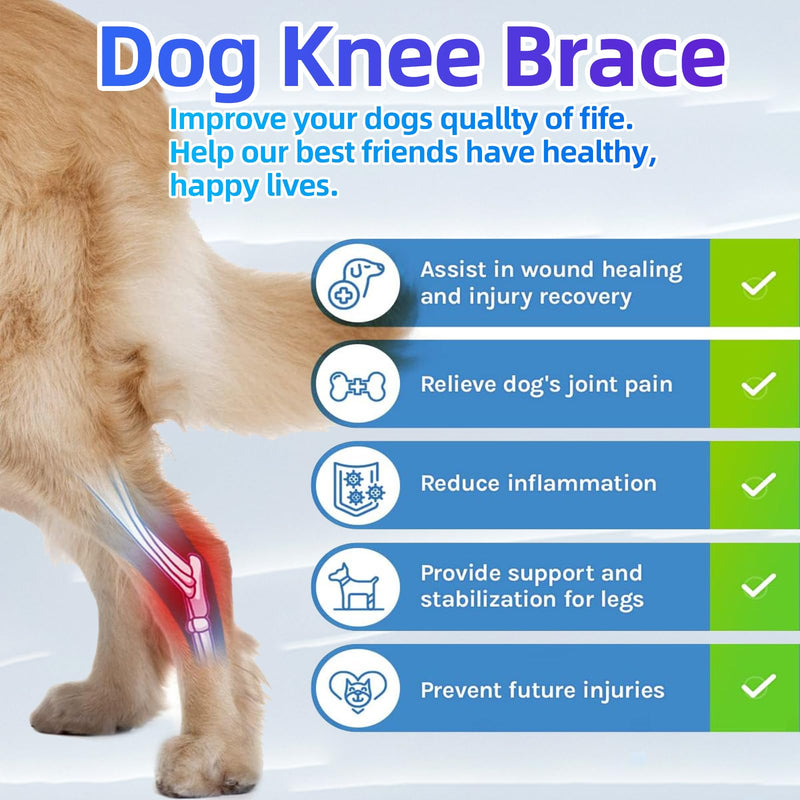 Dog Knee Brace for Support with Cruciate Ligament Injury, Joint Pain and Muscle Sore Size: XXXXL - PawsPlanet Australia