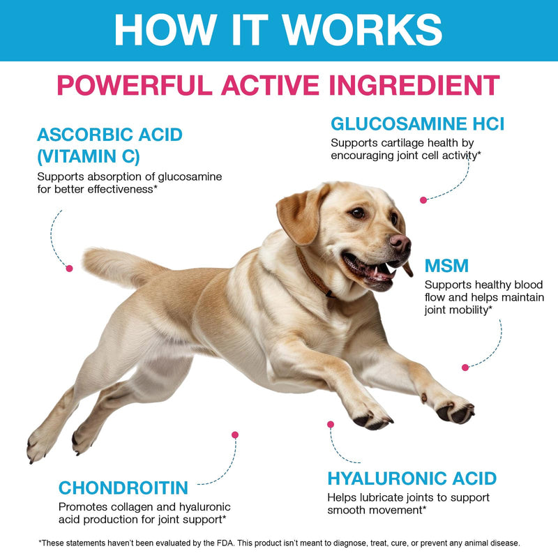 Dog Hip and Joint Supplement, Glucosamine for Dogs, Chondroitin Drops for Dogs, Pain Relief for Dogs, Dog Supplement for Joint Health, Mobility Pain Relief, Bacon Flavor-2 Oz/60ml - PawsPlanet Australia