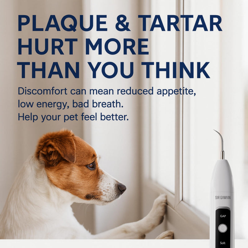 SIRGAWAIN Pet Ultrasonic Dental Cleaner — Plaque, Tartar & Stains Remover, 4 Tips, 3 Modes, LED, Contact-Activated & Smart Touch Protection, Complete Cleaning Kit for Dogs & Cats (White) White - PawsPlanet Australia