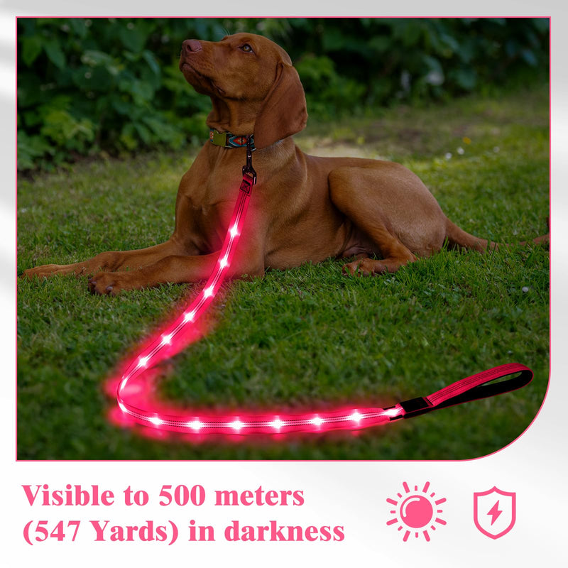 Light Up Dog Leash, 5 Ft LED Dog Lead Glowing Pet Leash with Soft Padded Handle, Safety Dog Lights for Night Walking (Pink) Pink - PawsPlanet Australia