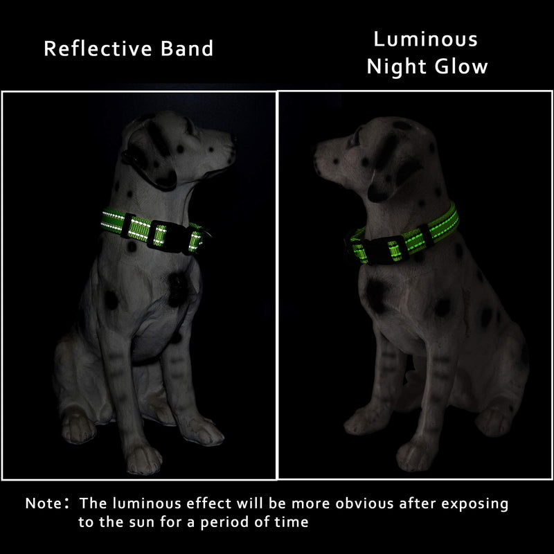 Mile High Life | Night Reflective Bands Nylon Thick Fabric Dog Collar | Fluorescence self-Luminescence | Variety Colors and Pattern Selections Medium (Pack of 1) Self-Luminescence Lime - PawsPlanet Australia