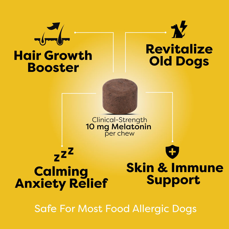 Doc Itchy Rejuvenating Hair-Grower Dog Pet Chews | 10mg Melatonin for Dogs | Hair Growth Booster | Senior Dog Energizer | Calming | Medical-Strength | Food Allergy Safe | Made in USA | 90 Count