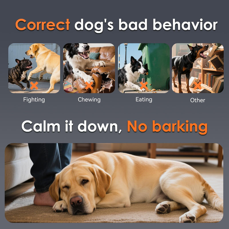 Dog Bark Deterrent Devices - Ultrasonic Flashlight Sound. Anti Barking Device for Dogs (Portable and Rechargeable with Stylish Design) - PawsPlanet Australia