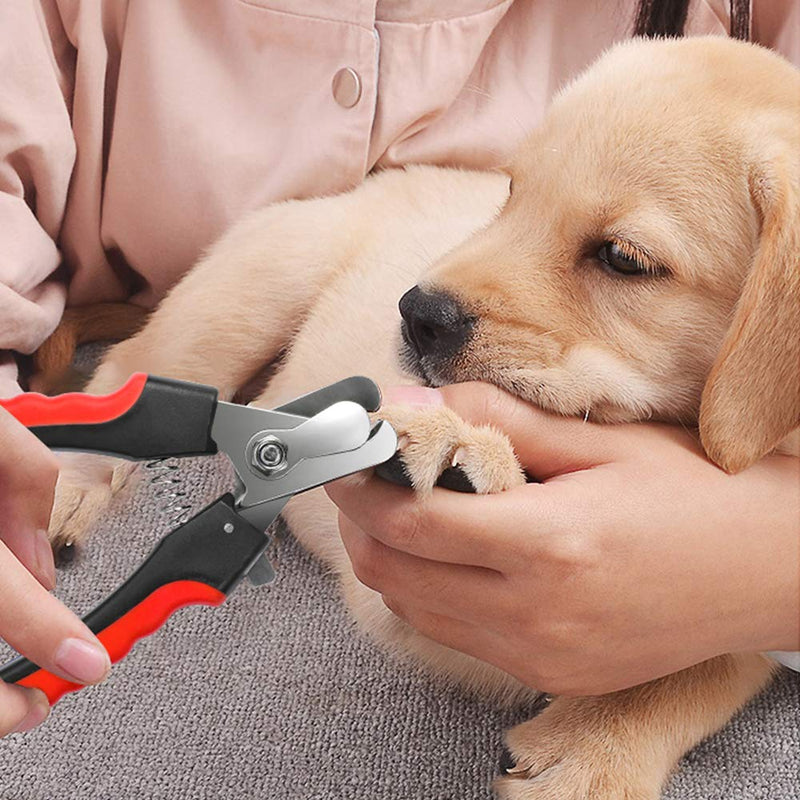 Dog Nails Clippers Trimmer with Safety Guard to Avoid Over-Cutting, Razor Sharp Blades with Bonus Dog Nail File, Cat Claw Clippers with Sturdy Non Slip Handles for Pets Dog Cat（Red & Black） Red & Black - PawsPlanet Australia