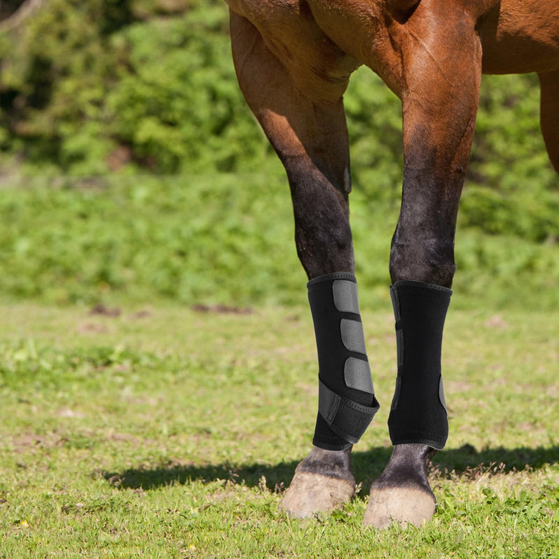 4 Pcs Horse Sport Boots - Neoprene Protective Breathable Comfy Mesh All-Round Lower Limb Protection & Support for Jumping Trail Riding Endurance Training and Performance ?Large / Full - PawsPlanet Australia