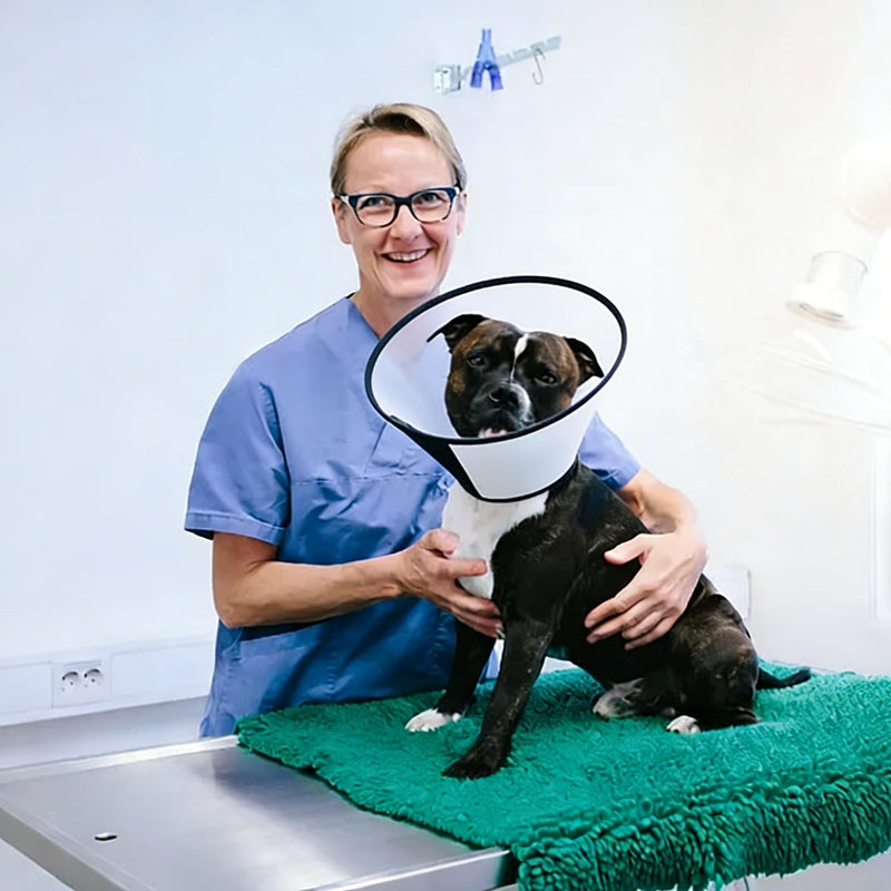 SUQ Pet Cone Recovery, Cone Adjustable Elizabeth Protective Collar, Anti-Bite Lick Safety Neck Cover, for after Surgery Wound Healing, Trimming Nails, Neck circumference 42-46cm, About 50 pounds (39-43 cm) neck circumference