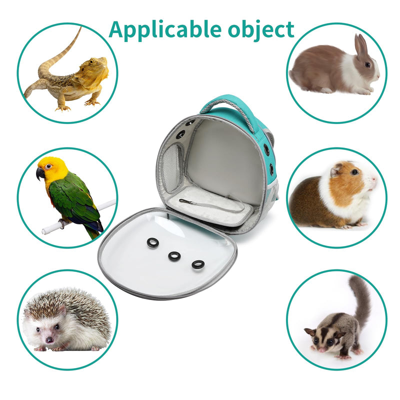 Portable Travel pet Backpack Carrier Hamster Bag Guinea Pig Bird Small Dog cat Turtle Carrier Rabbit Cage Squirrel Bearded Dragon Breathable Hangbag (Green) green - PawsPlanet Australia