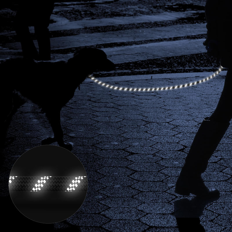 Heavy Duty Dog Leash for Large Medium Small Breed Dogs, Reflective Rope dog leashes with Comfortable Handle,4/5/6 FT Pet Puppy Leash for Night Walking with Poop Bag Holder,Black,1/2 inch Chic Black 6FTx1/2 Inch - PawsPlanet Australia