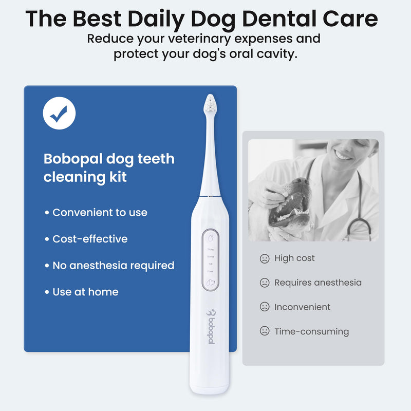 Dog Tooth Brushing Kit,3-in-1 Dog Teeth Cleaning Tools,Ultrasonic Electric Toothbrush & Plaque Remover for Dogs with Water Flosser for Teeth,2 Modes & 3 Intensity Levels,IPX7,1100mAh Battery - PawsPlanet Australia