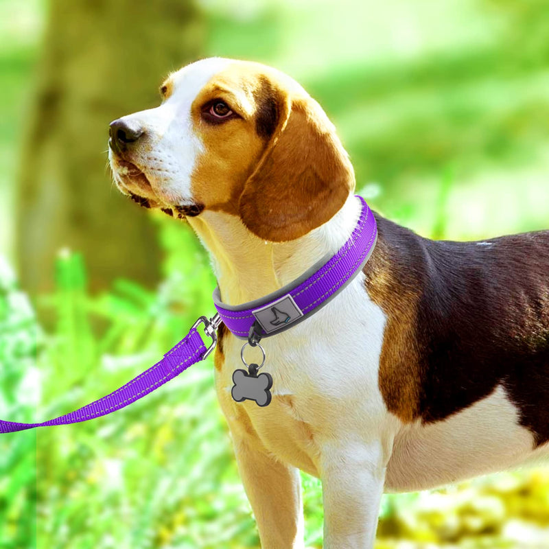 Joytale Dog Harness (Chest: 12-28"), Dog Collar and 6FT x 1" Wide Dog Leash Set, Reflective Neoprene Padded Collar and Leash, and Adjustable Soft Harness with Handle for Dogs - PawsPlanet Australia