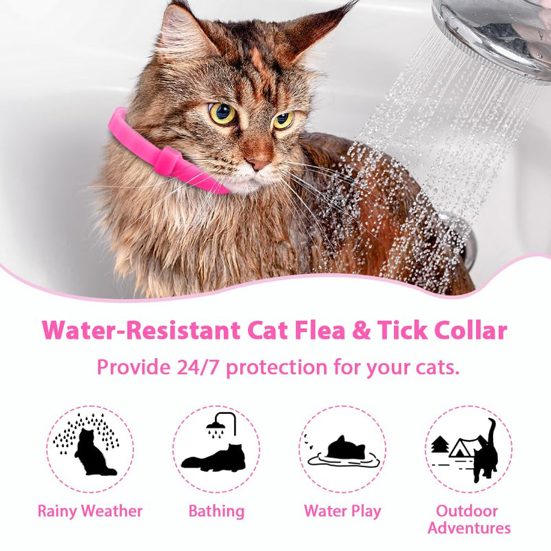 4 Pack Flea and Tick Collar for Cats, Natural Plant Oil Formula Cat Flea Collar Provides 32-Month Protection for Flea & Tick Prevention, Waterproof & Adjustable Cat Flea Treatment for Most Cats Blue - PawsPlanet Australia