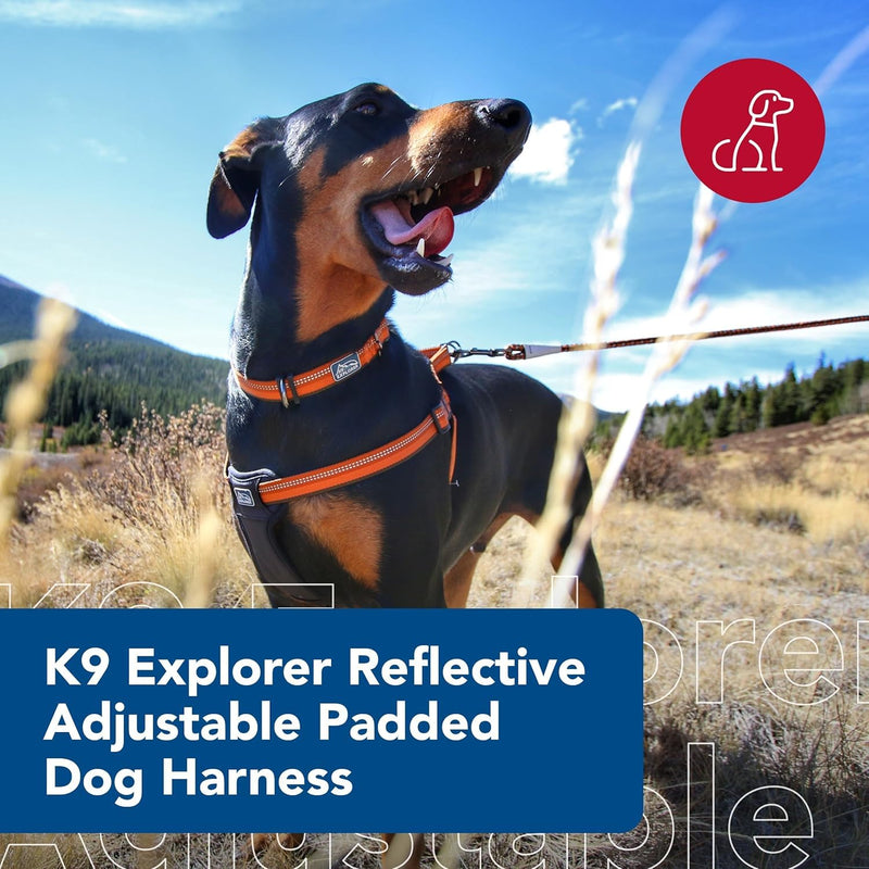 Coastal Pet K9 Explorer Reflective Adjustable Padded Dog Harness - Plush Chest Pad for Comfort - No-Pull Dog Harness for Small and Large Dogs - Rosebud - 5/8" x 16"-24", Small - PawsPlanet Australia
