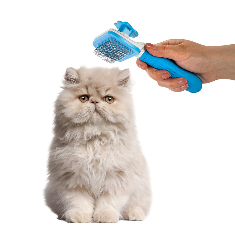 Self Cleaning Slicker Brush - PINK/GREY/BLUE - 1Pc- Pet Grooming Shedding Brush for Dogs and Cats - Remove Loose Undercoat & Tangles - Massaging Tool for Long or Short Hair Blue - PawsPlanet Australia