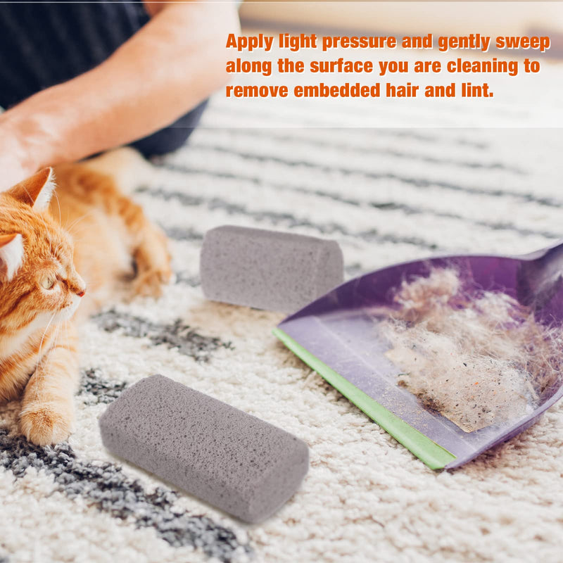 2 Pieces Pet Hair Remover for Cat Hair Removal Pumice Stone Tool Carpet Dog Fur Removal Tool for Car Couch Furniture Bedding Easy to Clean (4 Inches) 4 Inches