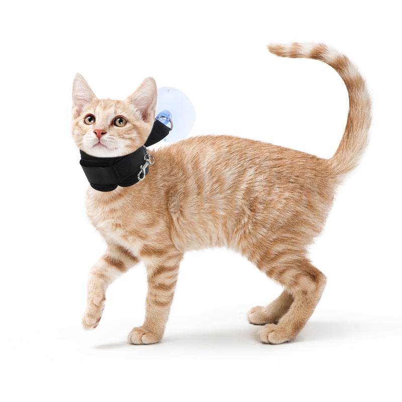 Suction cup grooming holder for dog bathing and nail care with adjustable bracket. Suitable for cats and dogs. Stable holder for safe bathing and grooming at home.