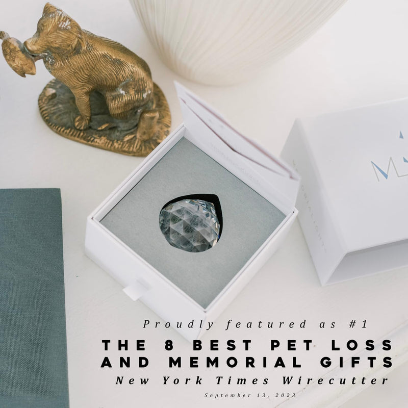 Pet Memorial Gift - Unique Sympathy Gift for Loss of Dog & Cat, Modern Bereavement Gift for Daily Remembrance, Pet Loss Gift, 40mm Crystal Ornament Rainbow Maker & Paw Print Keepsake Card - PawsPlanet Australia
