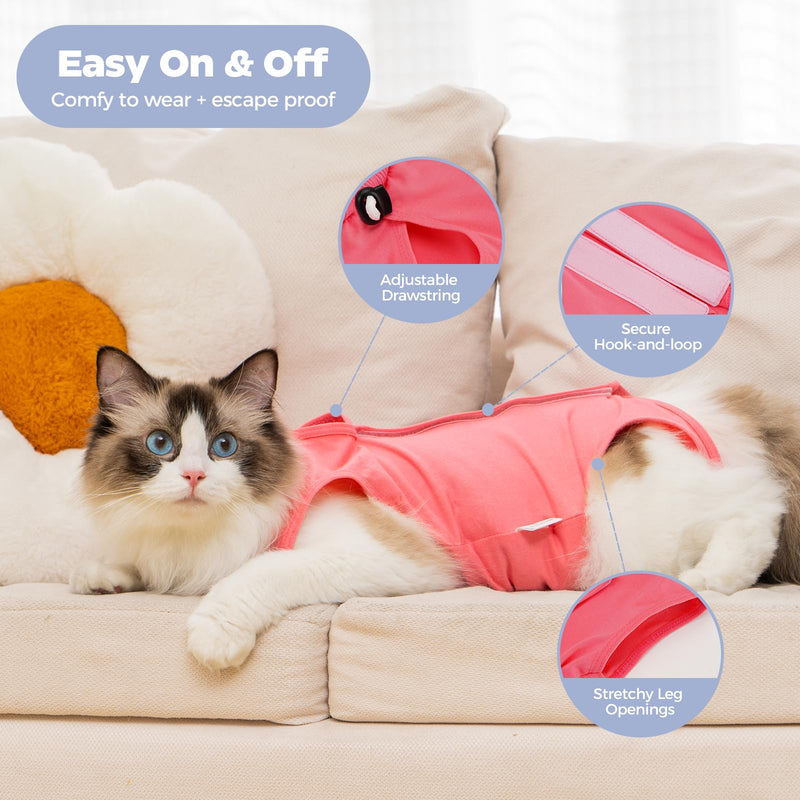 Avont Cat Recovery Suit Post-Surgery Onesie Bundle with Adjustable Cat Cone Collar - S