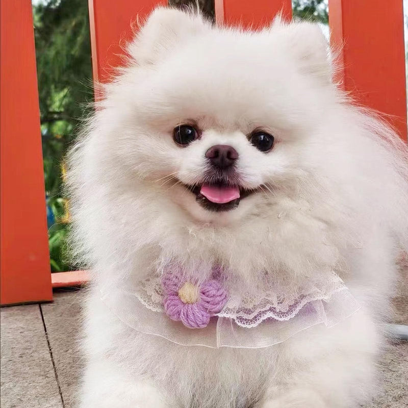 Cat Harness Collar and Leash Set, Sweet Lace Floral Kitten Collar, Escape Proof Puppy Chest Harness, Adjustable Cute Harness Leash Set for Cat Puppy Dog Outdoor Walking (Purple, S) Purple - PawsPlanet Australia