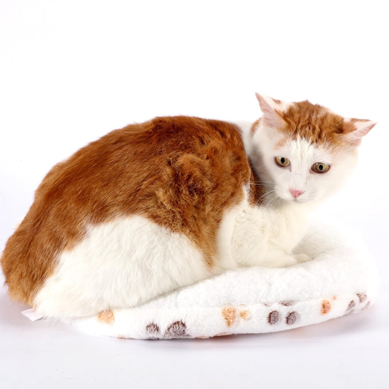 SHENGOCASE Round Cat Kneading Pillow, 15 Inch, Cushion Bed for Cats and Small Dogs, 4-Pack 15 Inches - PawsPlanet Australia