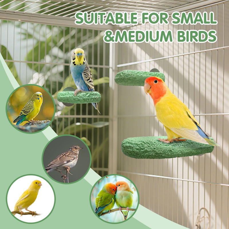 3Pcs Beak Grinder for Birds: Parakeet Beak Grinding Stone&Nail Trimming Perch-Flat Perches for Bird Cages,Budgie Cage Accessories - PawsPlanet Australia