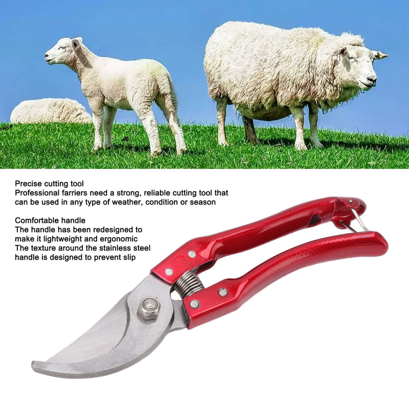 Walfront Goat Hoof Trimmers Nonslip, Sheep Hoof Shears Goat Hoof Trimmers Stainless Steel Animal Nail Scissors Ergonomic Design Cut Multifunctional for Pig Trotter (Black) - PawsPlanet Australia