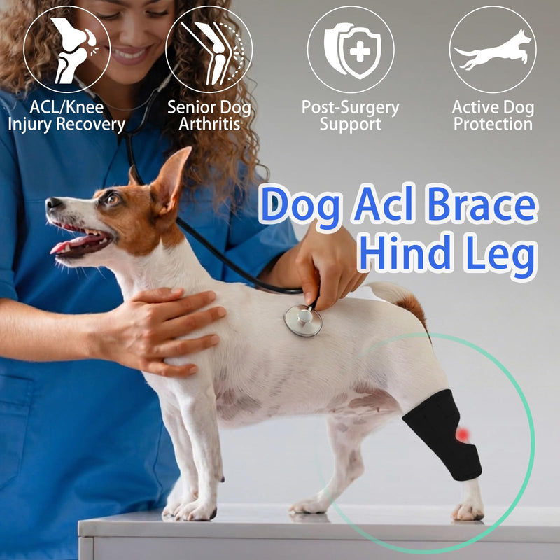 MIGOHI Dog Knee Brace for Back Leg, Black, M | Lightweight, ACL & Arthritis Support, Hock Joint Support, Senior Dogs Hind Leg Weakness, Post-Surgery Recovery Medium