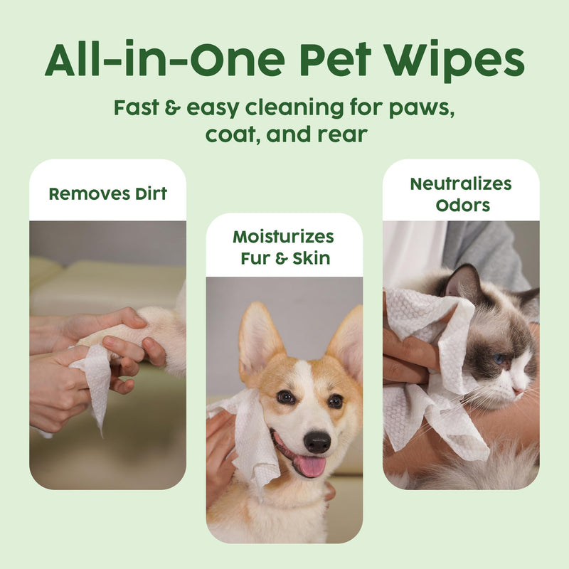 Pet Grooming Wipes - Natural & Organic Bamboo Base - Calming Lavender Scented - Freshening Dog Cat Wipe - Gentle on Sensitive Skin - Thick & Durable for Paws, Coat & Bum - 100 Count Lavender - 100 Count - PawsPlanet Australia