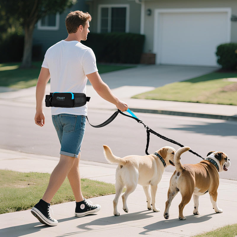 Hands Free Double Dog Leash Tangle Free, Lumbar Support Dual Leash for Medium Large 2 Dogs With Bungee, Waist Bag, Padded Handles,Reflective Stitching for Dog Walking, Jogging, Hiking, Training