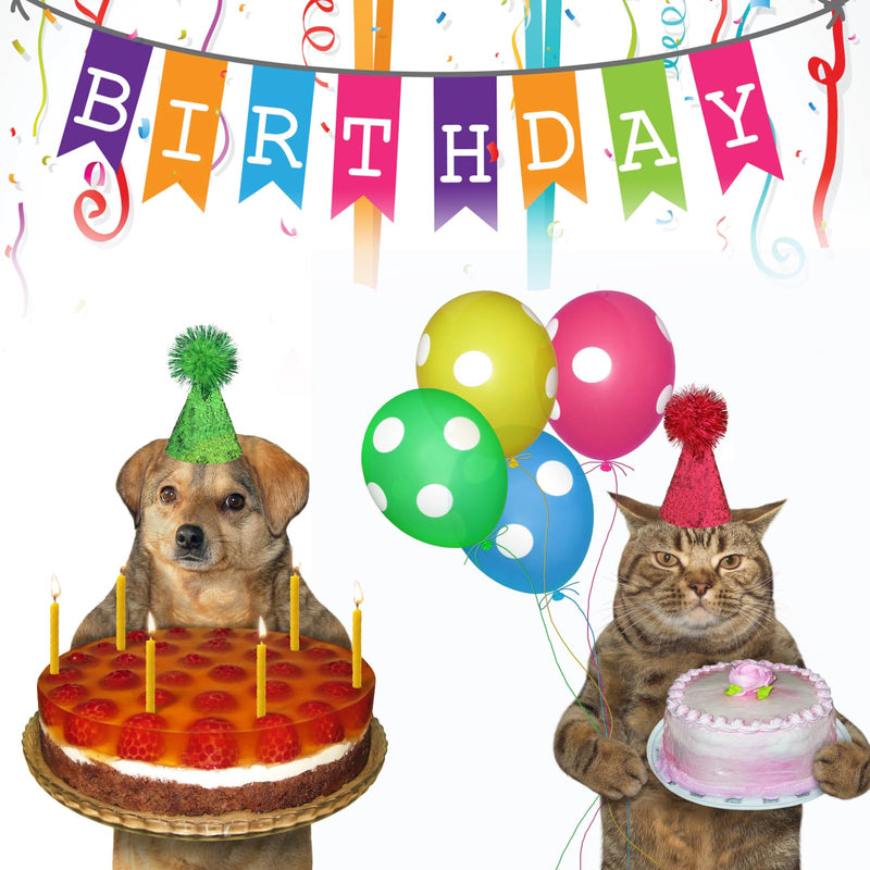 10 Packs Cat Birthday Hat, Dog Party Hats, Multi-color Cat Hats, Mini Party Hats, Cute Puppy Hat with Pompons, Adjustable Headbands Birthday Hats for Kittens Rabbits Dogs Small Animals Friends - PawsPlanet Australia