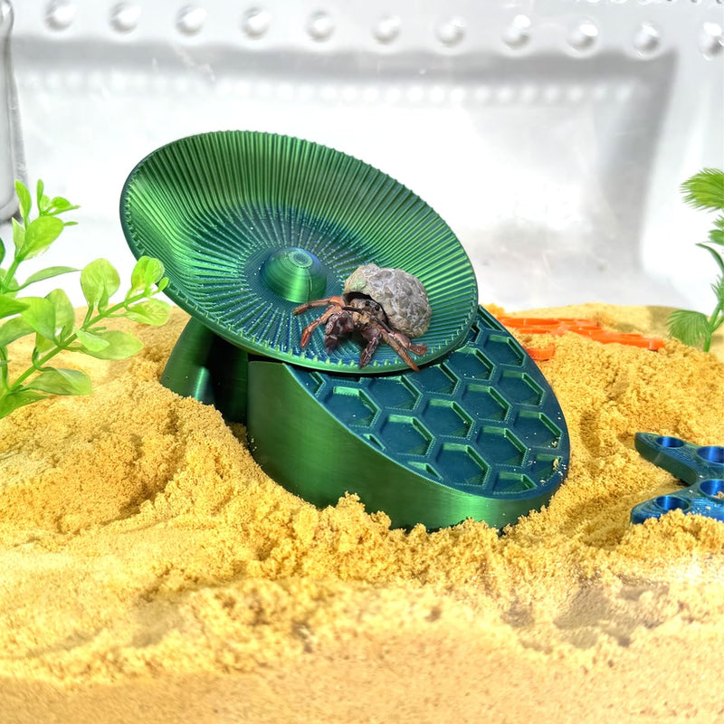Hermit Crabs Running Wheel Toy with Climbing Platform, Hermit Crab Tank Accessories, for Hermit Crab Hamster Gerbils - PawsPlanet Australia