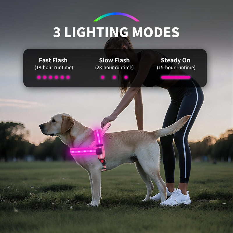PetIsay LED Light Up Dog Harness - USB-C Rechargeable, IPX7 Waterproof, Reflective, No Pull Dog Vest with Soft Padded Handle for Night Walking(Pink, Medium) M Pink - PawsPlanet Australia