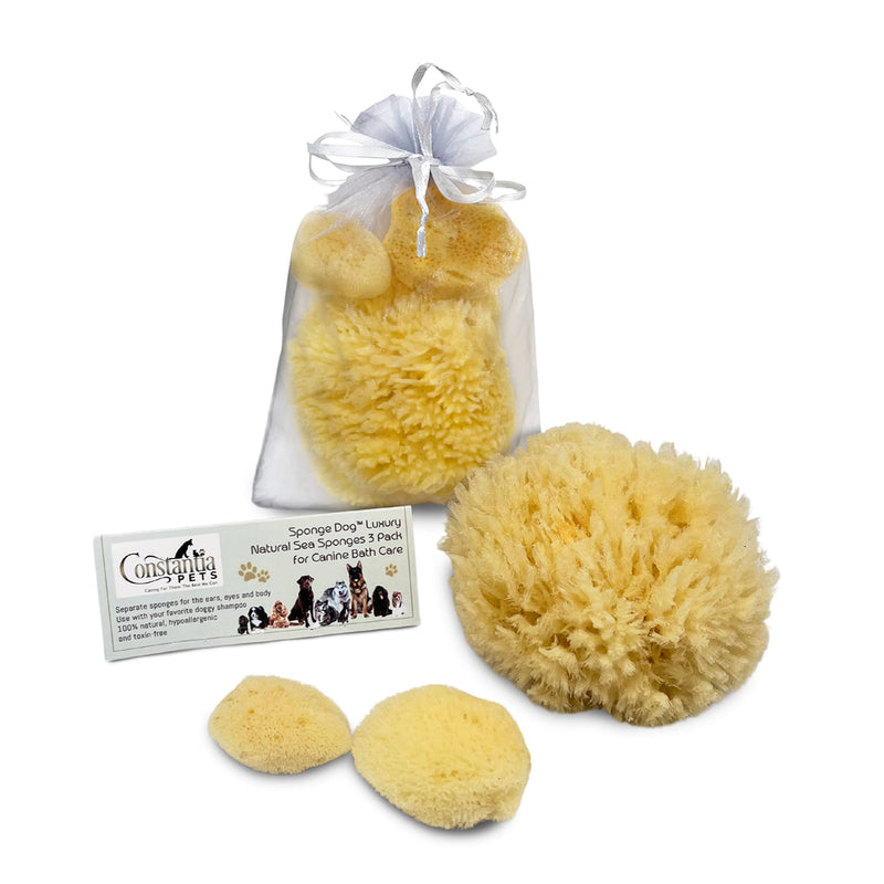 Sea Sponges for Dogs - Luxury Canine Bath Care, for Pet Grooming, Soft & Gentle Pampering - PawsPlanet Australia