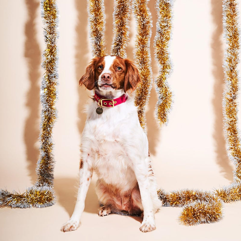 Found My Animal-The Original Pink Washable Velvet Cat & Dog Collar-(Small)-Adjustable, Solid Brass Pin Buckle-Heavy Duty Dog Training Collar- Handcrafted Velvet Pet Collar-Made in USA Small - PawsPlanet Australia