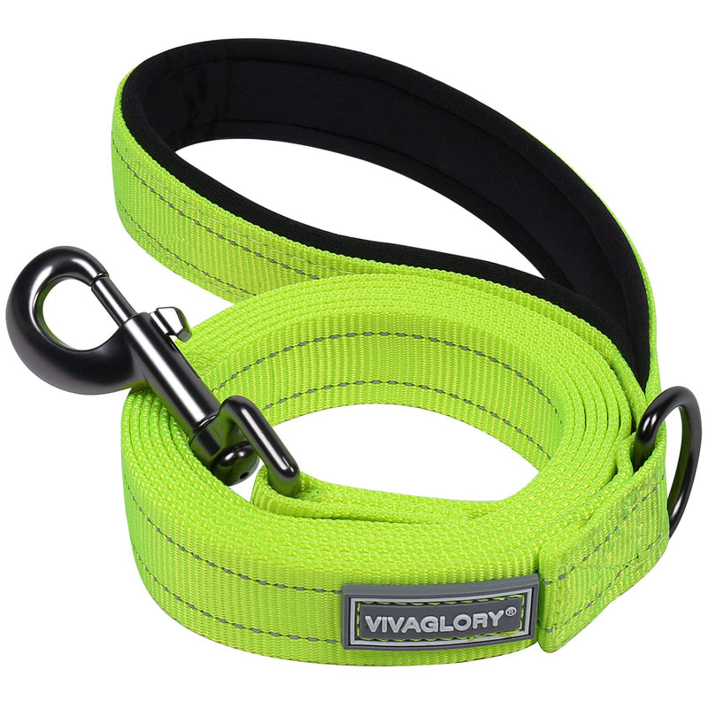 VIVAGLORY Dog Leash Dailyx Pet Leash with Soft Padded Handle for Training & Walking, Heavy Duty & Double Layer Nylon for Pet Puppy, 5ft x 1in, Bright Yellow Leash (5 ft. x 1 in.)