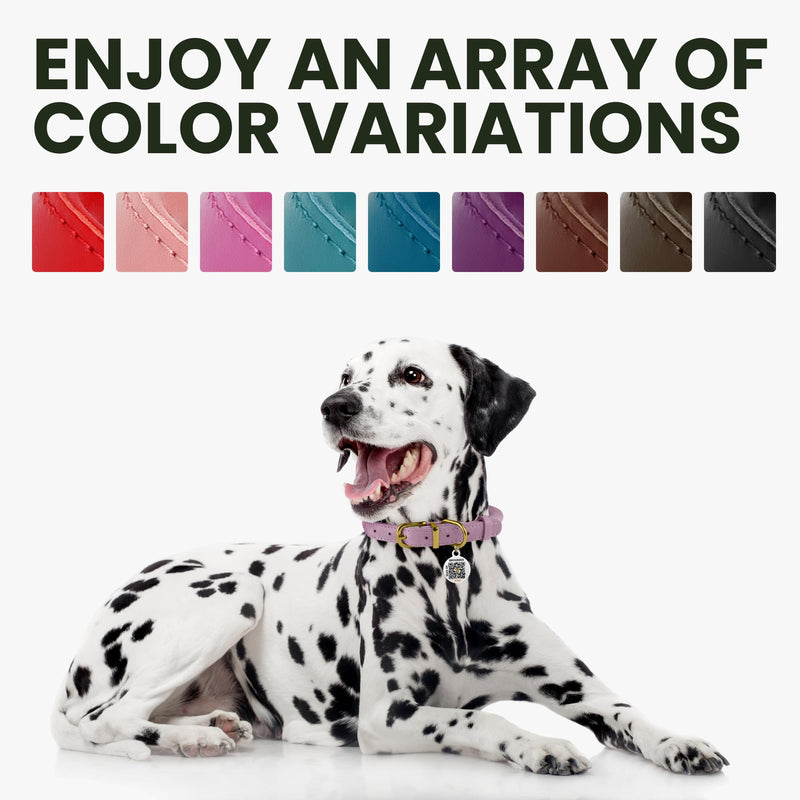 BRONZEDOG Rolled Leather Dog Collar for Small Medium Large Dogs with QR ID Tag (M: 14-16 Inch, Ocean Blue) M: 14 - 16 Inch