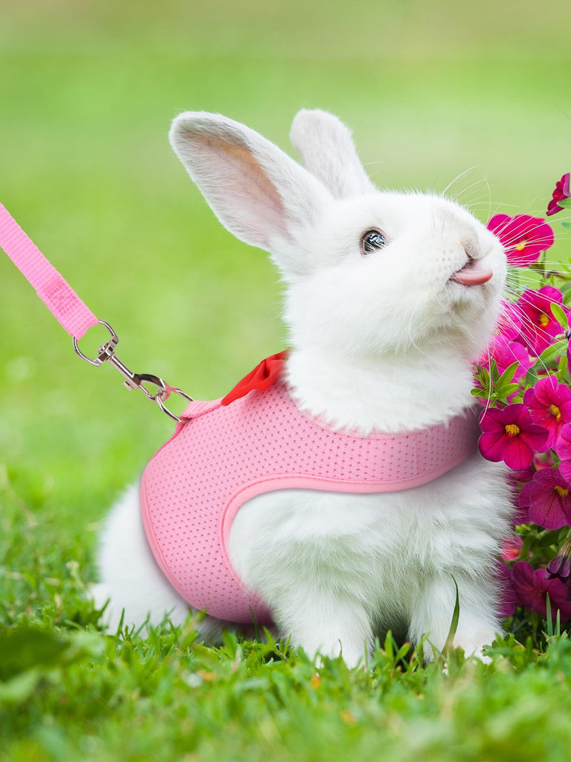 Bunny Harness and Leash for Walking Escape Proof,Mesh Breathable Adjustable Rabbit Leash Camping Hiking Training for Bunny Ferret Kitten Puppy Pink S (Chest:7.1-9.4") S Neck 5.5-7.1'' Chest 7.1-9.4” - PawsPlanet Australia
