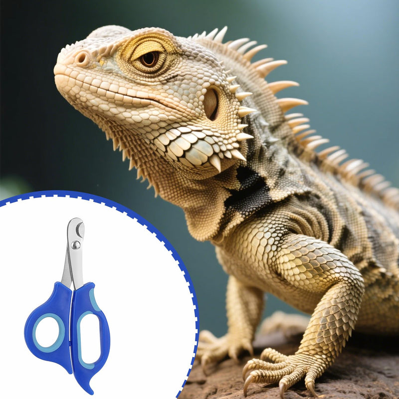 BOXOB Bearded Dragon Nail Clippers, Stainless Steel Pet Animal Lizard Cat Dog Toe Nail Scissors Trimmer Professional Reptile Grooming Tool with Precise Angled Edge for Small Reptiles Turtle Chameleon - PawsPlanet Australia